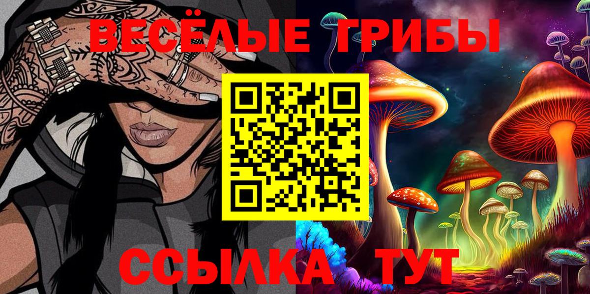 Галлюциногенные грибы Psilocybe Рассказово