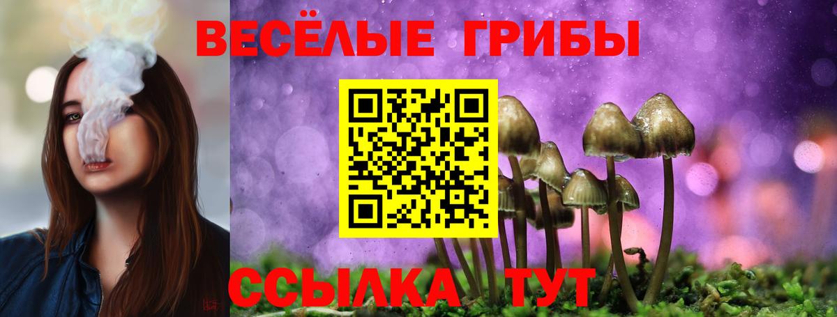 Псилоцибиновые грибы мицелий  Вход с VPN  Псилоцибиновые грибы прущие грибы  где продают   Рассказово 